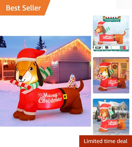 Outdoor christmas - outdoor, 5