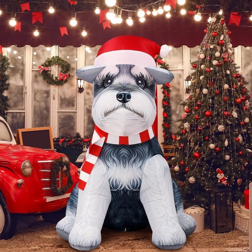 Schnauzer christmas - 5, ft